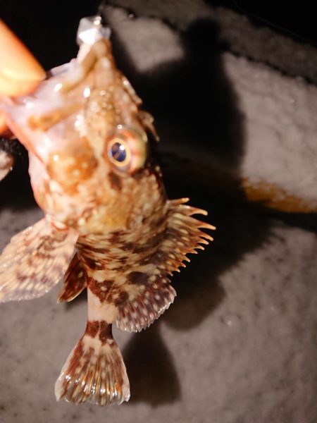 大雪警報発令中の中で